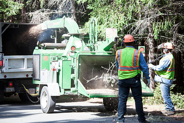 Mulching Services in Lake Hallie, WI